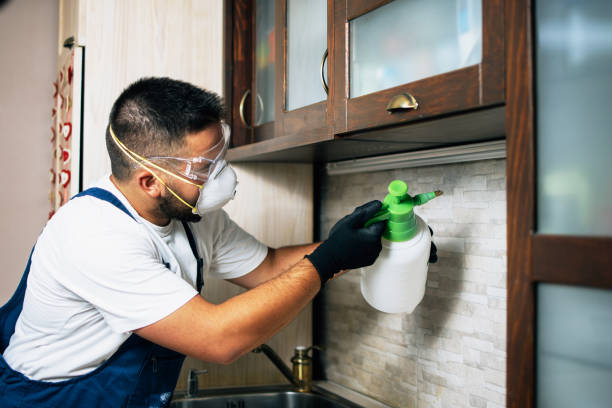  Point Pleasant, WV Pest Control Pros