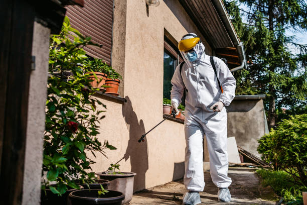 Reliable Point Pleasant, WV Pest Control Solutions