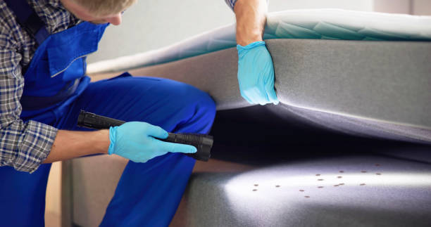 Best Commercial Pest Control Services  in Point Pleasant, WV