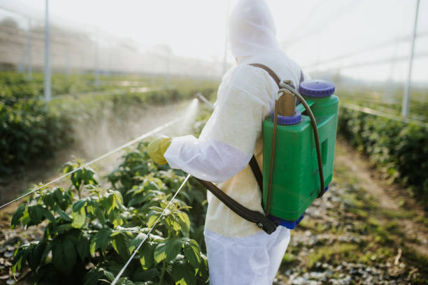 Best Ant Control Services  in Point Pleasant, WV